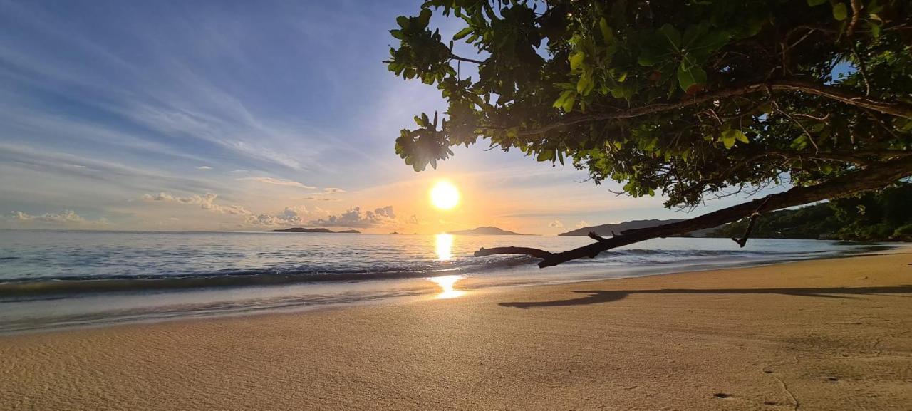 Tranquility Villas เบเซนต์แอนน์ ภายนอก รูปภาพ